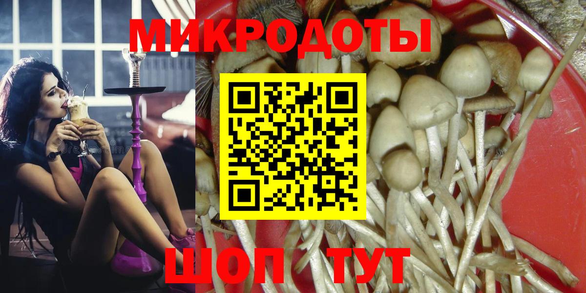 сколько стоит  Вход с VPN  Мценск  Галлюциногенные грибы мухоморы  Галлюциногенные грибы Psilocybe 
